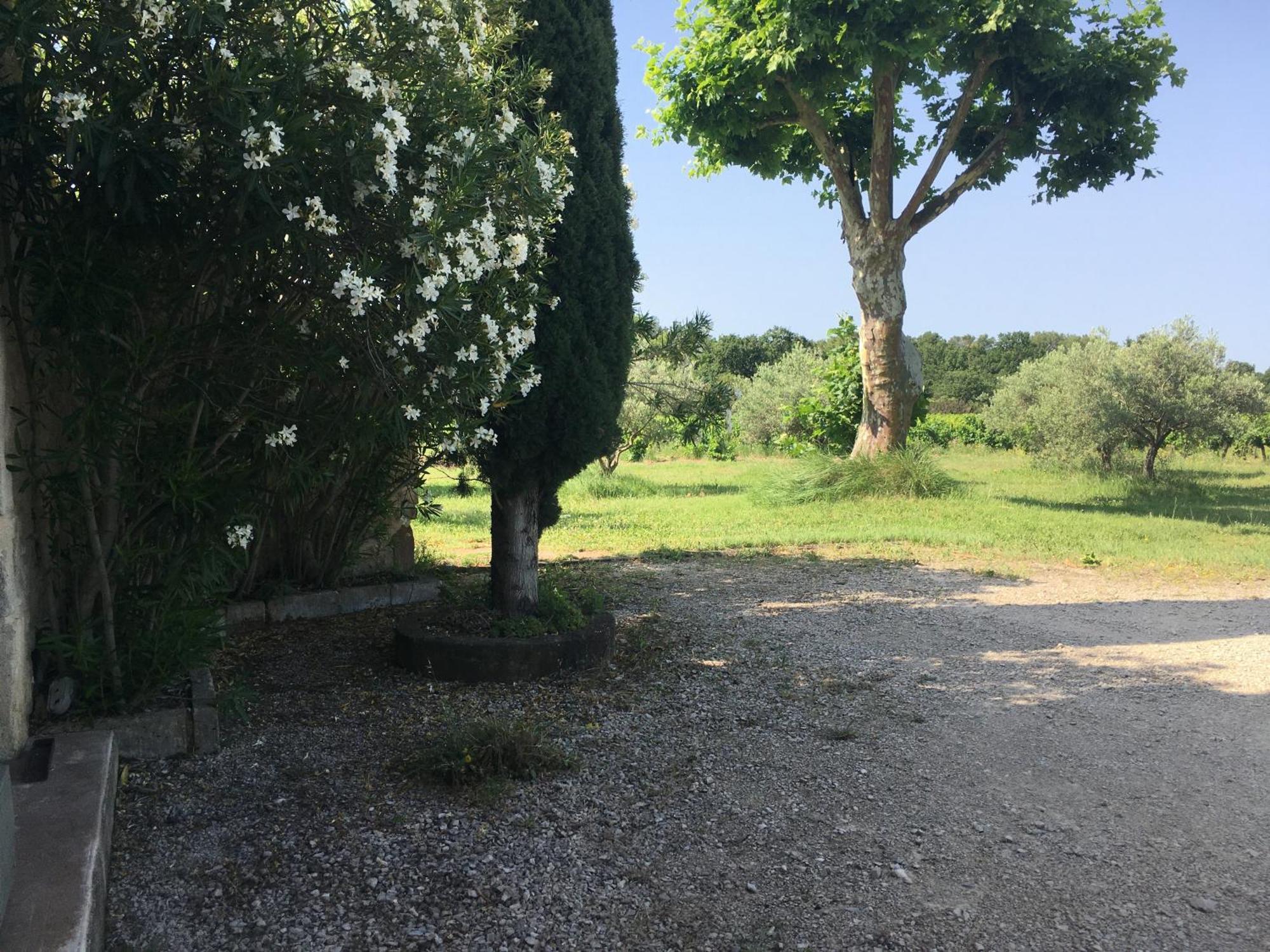 Gite Des Amis Domaine De Mas Caron Caromb Eksteriør billede